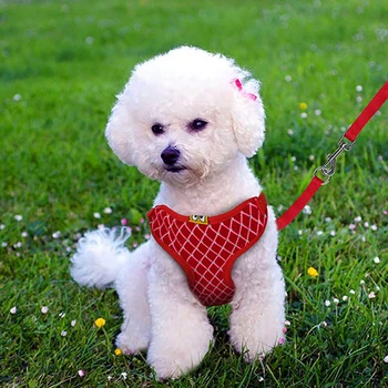 Kvėpuojantis Pet Pavadėliu, Šuniukas Mados Pledas Modelis Minkštos Krūtinės Diržas Liemenės Diržo Pavadėlio Šuo Reikmenys