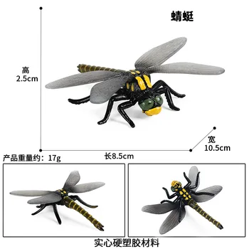 Kietojo Dragonfly Modelis Veiksmų Skaičius, Modeliavimo Vabzdžių, Gyvūnų figūrėlių Kolekcija PVC Žaislas Vaikams Dovanų
