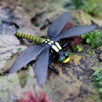 Kietojo Dragonfly Modelis Veiksmų Skaičius, Modeliavimo Vabzdžių, Gyvūnų figūrėlių Kolekcija PVC Žaislas Vaikams Dovanų