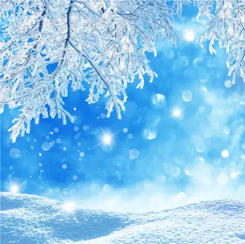 žiemos sniego fotografijos fone stebuklų, blizgučiai miško kalėdų bokeh fone photocall foto studija