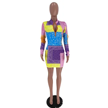 2021 Naujas Produktas Atsitiktinis Suknelės Moterims Vasaros Komplektus Užtrauktukas Ilgomis Rankovėmis Derliaus Spausdinti Seksuali Mini Klubas Bodycon Suknelė