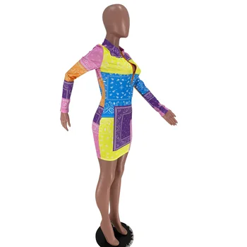 2021 Naujas Produktas Atsitiktinis Suknelės Moterims Vasaros Komplektus Užtrauktukas Ilgomis Rankovėmis Derliaus Spausdinti Seksuali Mini Klubas Bodycon Suknelė