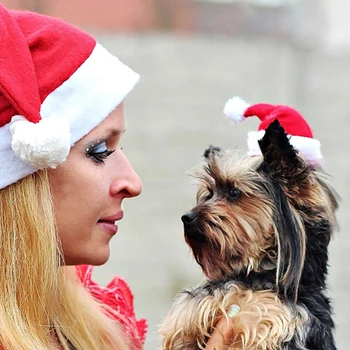 1 Gabalas Kalėdų Pet Santa Hat Mažas Šuniukas Katė, Šuo Kalėdų Atostogų Kostiumų Papuošalai
