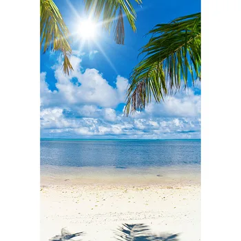 Mehofoto Vasaros Atostogų Mėlynas Dangus ir Jūra Backdrops Saulės baltus Debesis Smėlio Paplūdimio Kokoso Medžio Photo Booth Fone Studio G-613
