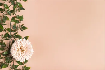 SHUOZHIKE Vinilo Custom, Fotografija Backdrops Rekvizitai Gėlių ir Medienos Lentos temą fotostudijos Fono 20212-3755