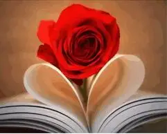 MaHuaf-k009 rose knyga 