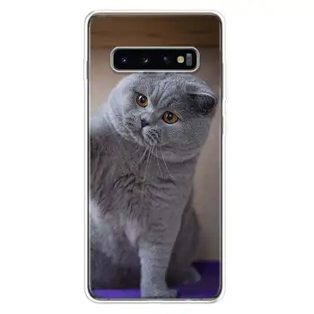 British Shorthair Katė Telefono dėklas Samsung Galaxy S20 Ultra S10E Pastaba 10 9 8 S8 S9 J4 J6 J8 Plus + Lite S7 S6 Padengti Coque 