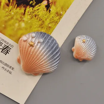 Kūrybos Šaldytuvas Magnetas 3D Shell Formos Dervos Šaldytuvas Magnetas Animacinių filmų Namų Dekoracijas Žvaigždė korpuso šaldytuvas lipdukas