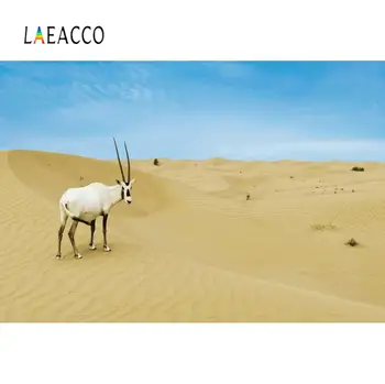 Laeacco Fotografija Tapetai Fotografijos Desertas Avis, Mėlynas Dangus, Natūrali Vaizdingas Fotografijos Fonas Foto Studija
