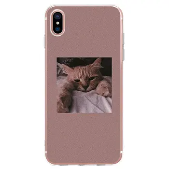 Mielas Rožinis Funny Cat Meno Telefono dėklas Skirtas iPhone 12 11 Pro X XR XS Max SE2020 7 8 6 6s Plius 5s 12mini Silikono TPU Minkštas Galinį Dangtelį